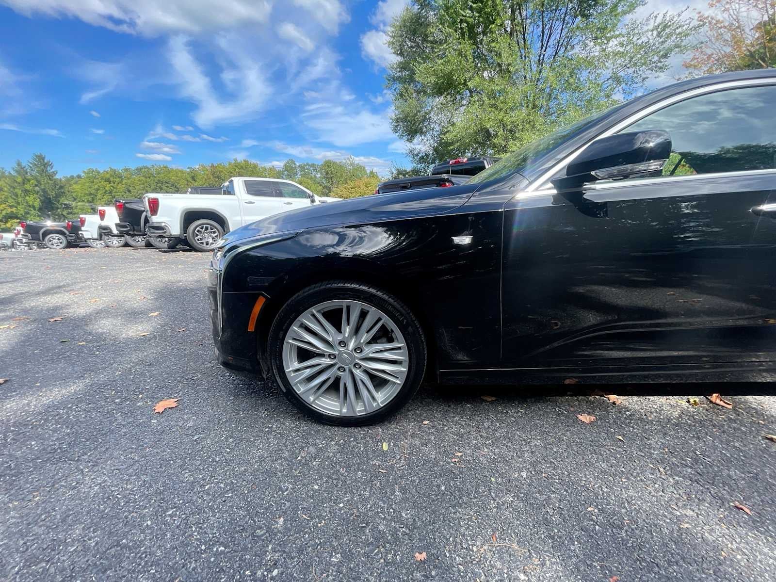 Photo 31