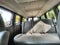 2026 GMC Savana Passenger LS