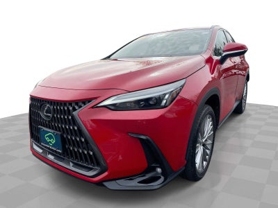 2025 Lexus NX NX 350 Premium