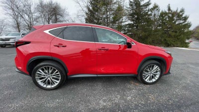 2025 Lexus NX NX 350 Premium