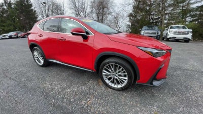 2025 Lexus NX NX 350 Premium