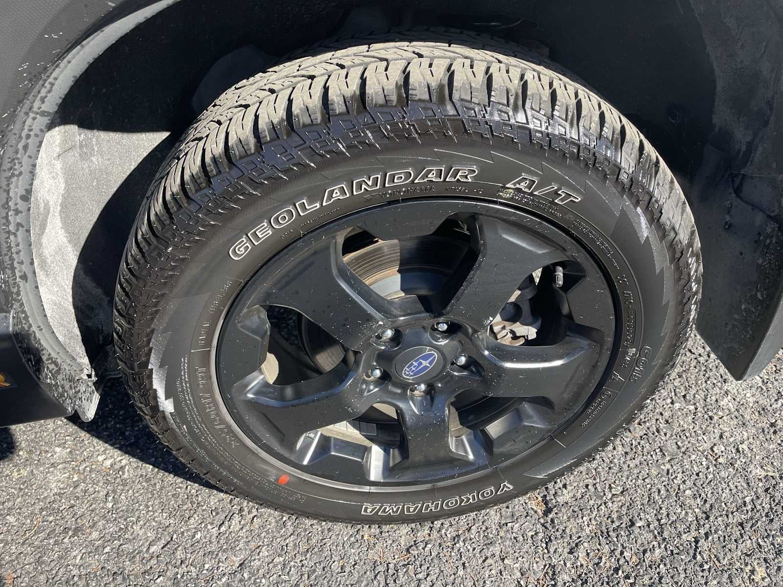 2024 Subaru Forester Wilderness